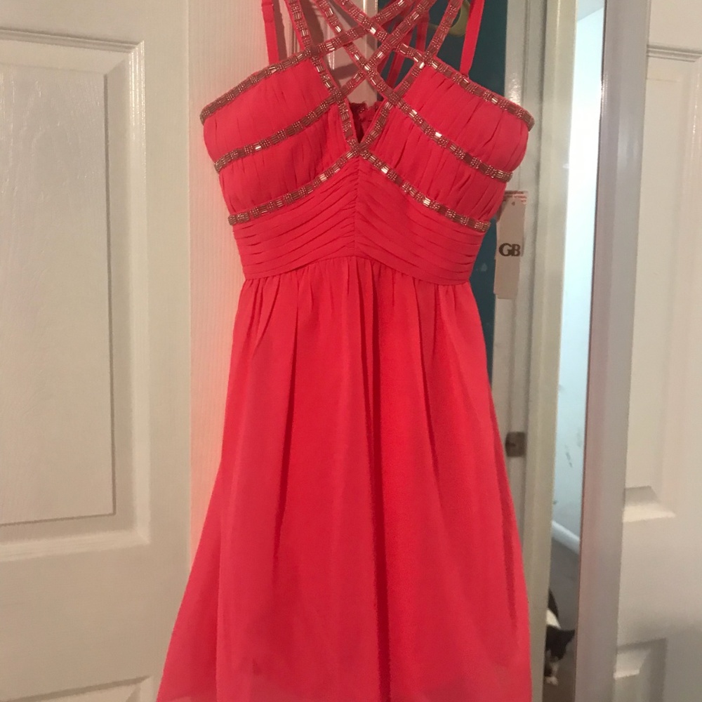 Junior's Pink Dress